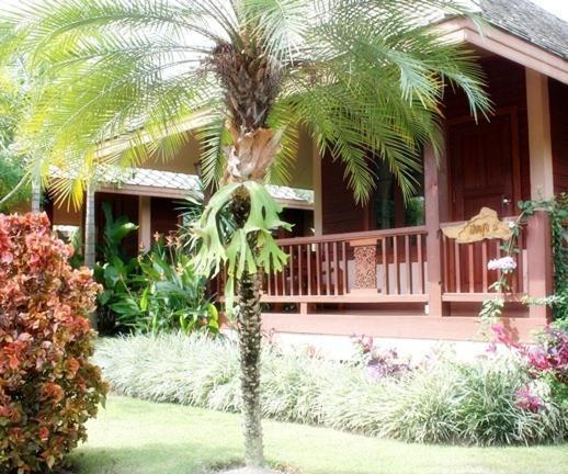 Pai Herbs Resort Номер фото